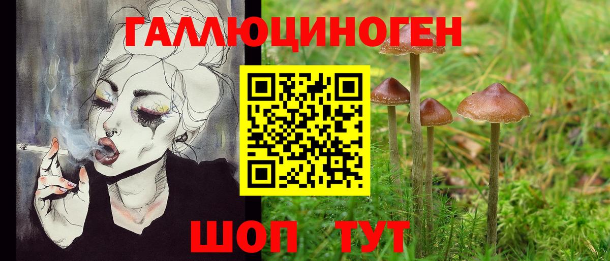 Бутурлиновка  Псилоцибиновые грибы Psilocybe  наркошоп  Вход с VPN 